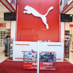 zorilestore_shop2