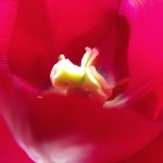 paste_4
