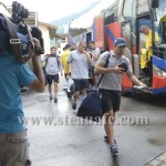 sigla_steaua2
