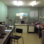 ipp