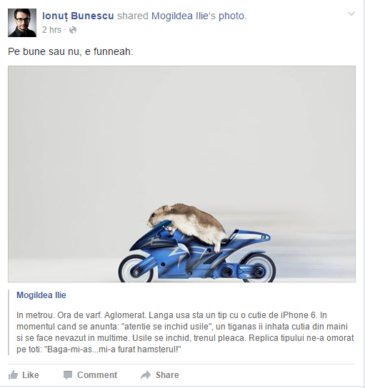 hamster-iphone