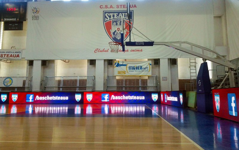 steaua-baschet