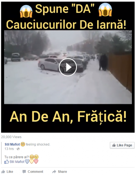 video-stupid-2