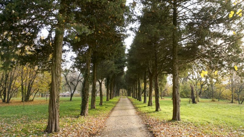 palatul-stirbey-toamna-13