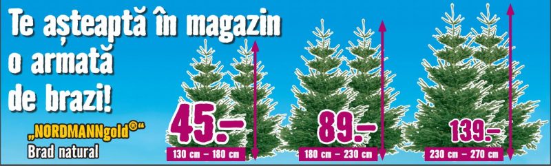 brad-hornbach-2016