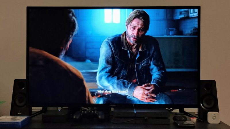 the last of us part II romania