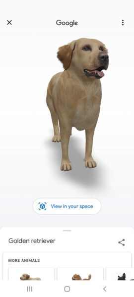 google search animale 3d