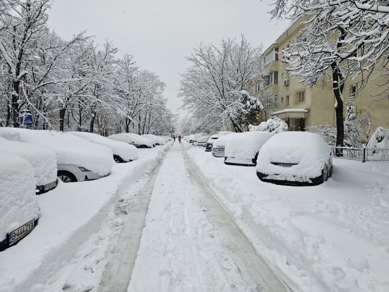 zăpadă București 2026