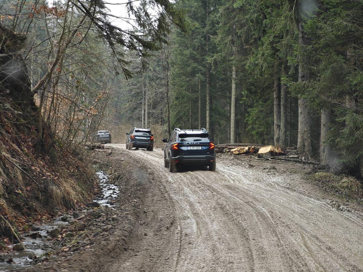 dacia bigster drum forestier